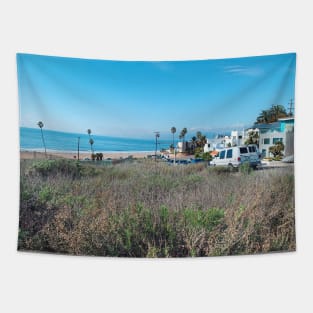 Grassy patch by California beachside Tapestry