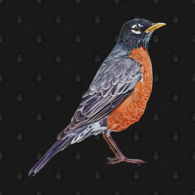 American Robin - bird painting (no background) by EmilyBickell