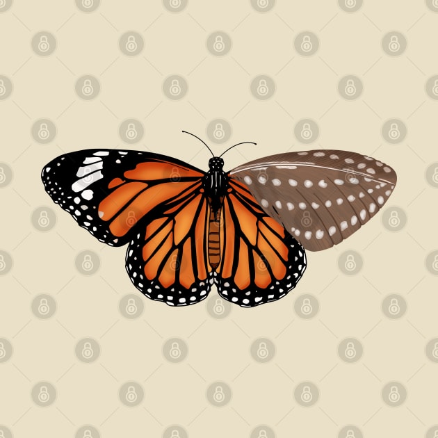 Monarch butterfly by Anahis Digital Art