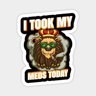 I Took My Meds Today Magnet