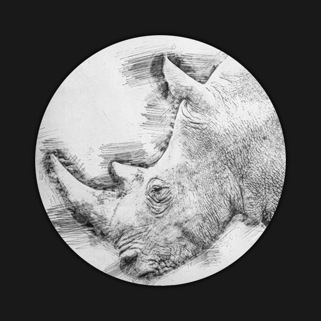 Pencil Sketch Rhino Drawing by Raimondi