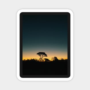 Silhouette of Tree After Sundown Magnet