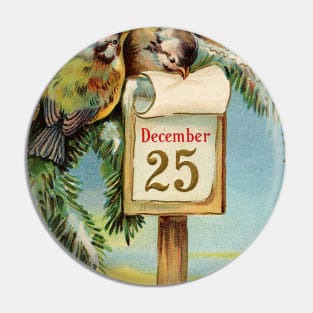 Vintage Christmas Birds Pin