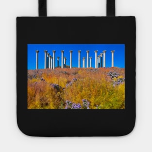 Capitol Arboretum Columns Tote