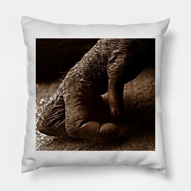 Hand gesture Pillow by ikshvaku