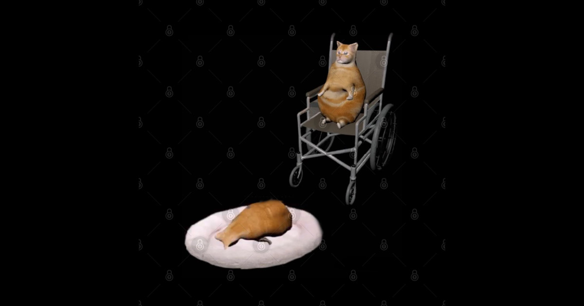 Cat In A Wheelchair Meme TShirt TeePublic