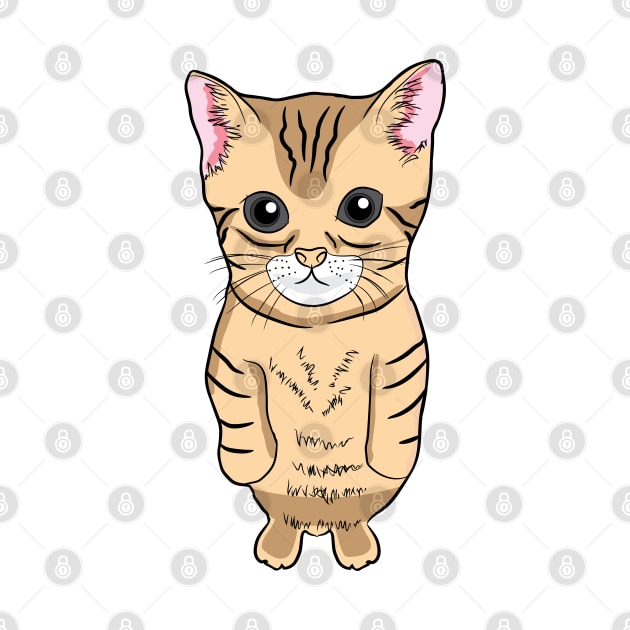 Cute Standing Cat Meme Cute Kitten Standing on Two Feet by alltheprints