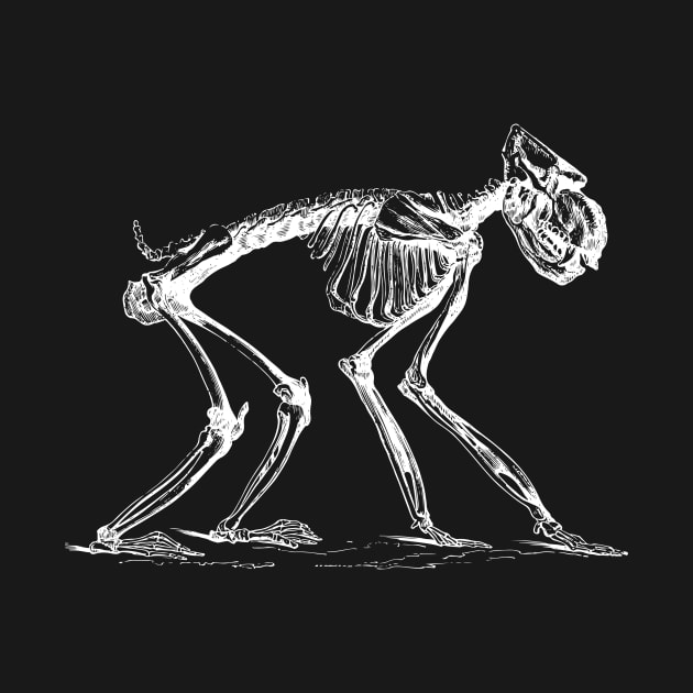 Ape Skeleton by tommartinart