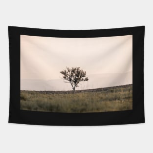 Autumn tree in the sunset Tapestry