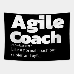 Agile Coach Definition Tapestry