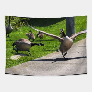 Canada Goose Watching Its Goslings Tapestry