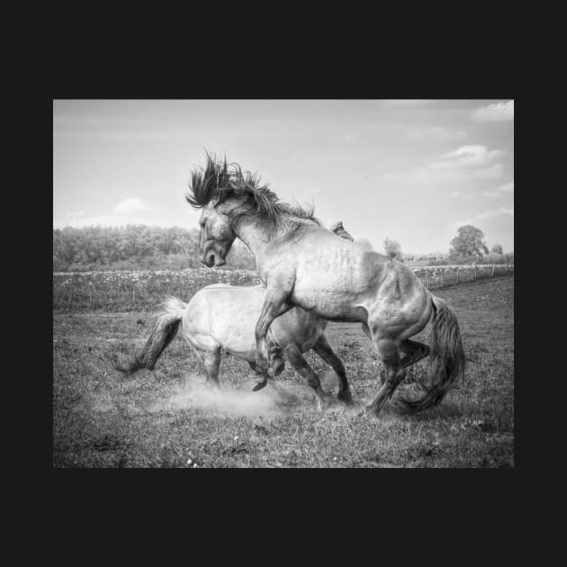 Horsepower in black & white by hton