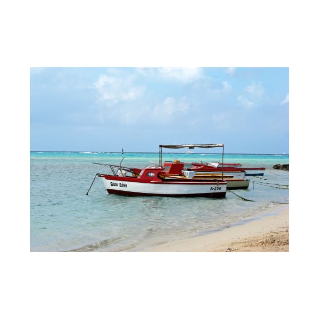 Welcome to Aruba, fishing boats tied up. by tgass