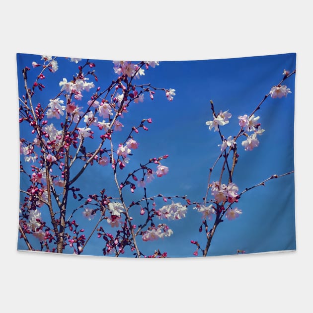 Cherry Blossom Branches Tapestry by SusanSavad