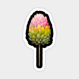 Colorful artichoke flower Magnet