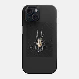 Spider identified as Araneus diadematus Phone Case