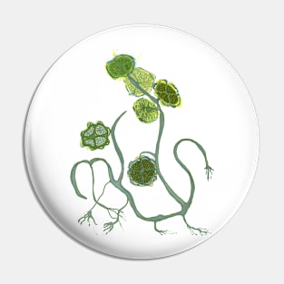 GREEN LEAVES WALKING Pin