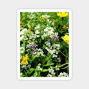White, Lavender and Yellow Wild Flowers Magnet