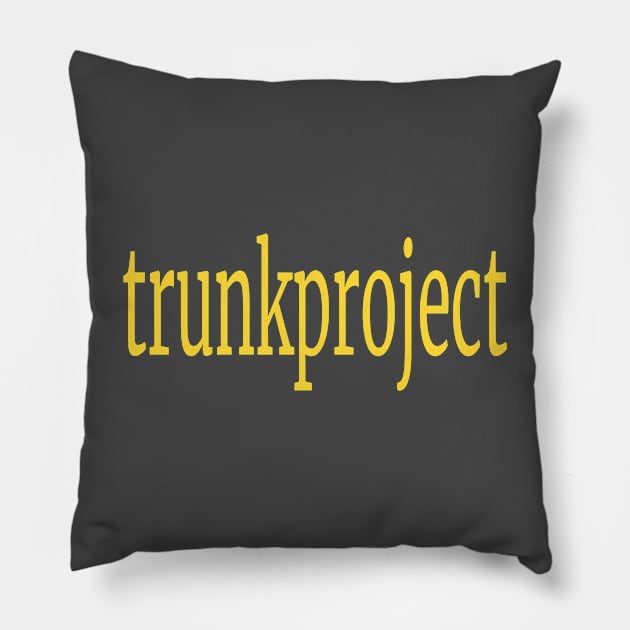 trunk project Pillow by rami99