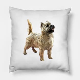 Cairn Terrier Beautiful dog Pillow