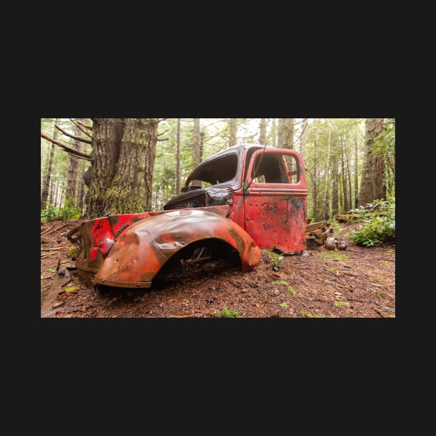 A Forgotten Pickup Truck in the Forest by JeffreySchwartz