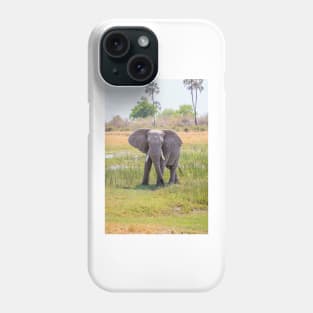 African bush elephant, Loxodonta africana Phone Case