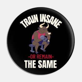 Train Insane or Remain the Same Pin