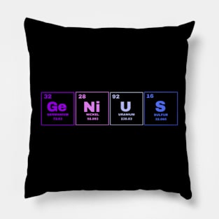 Genius Elements Spelling Pillow