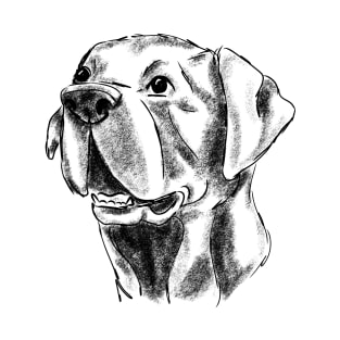 Black Lab, sketch T-Shirt