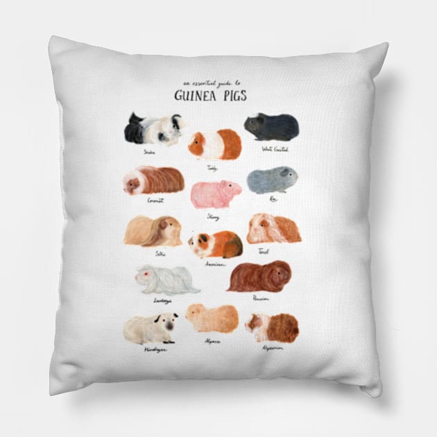 Guinea Pig Breed Chart Pillow by Delaserratoyou