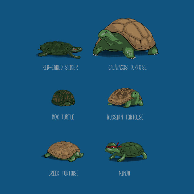 Know Your Turtles - Turtles - Phone Case