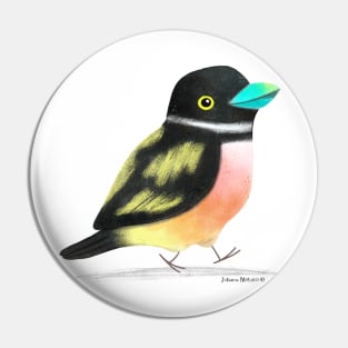 Black and Yellow Broadbill Bird 2 Pin