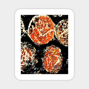 Orange sea balls Magnet