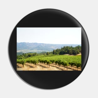 Vineyard views from Spring Mountain, Napa Valley Pin