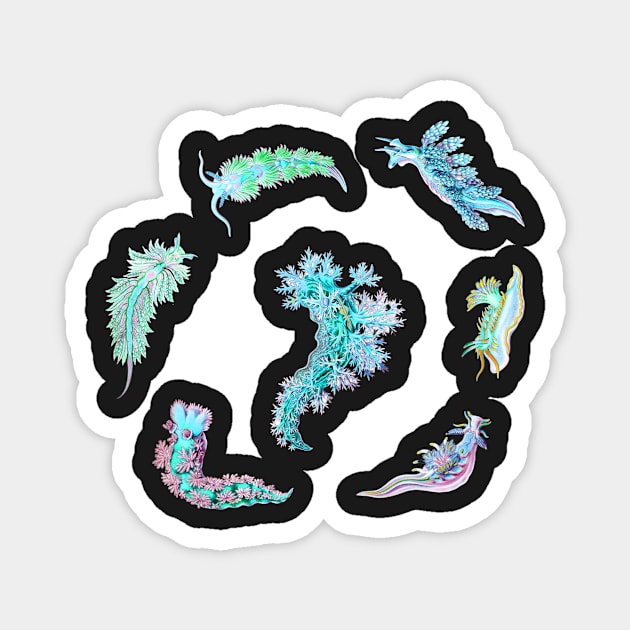 Nudibranch Set Ernst Haeckel Day-Glo Colors Magnet by aeolia