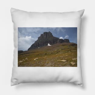 850_6454 Pillow