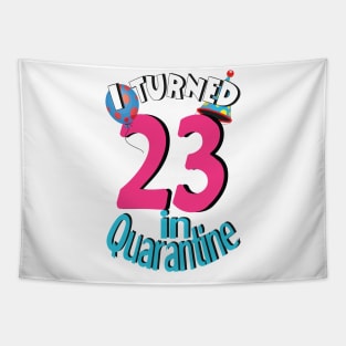 i turned 23 in quarantine Tapestry