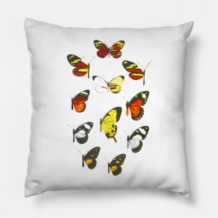 Butterfly Pillow