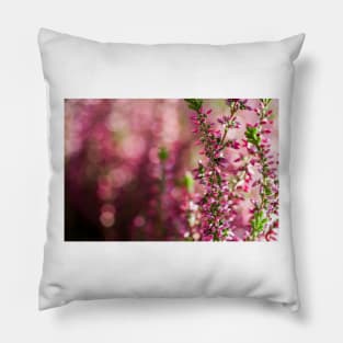 Heather Pillow