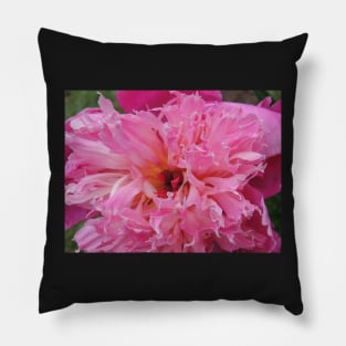 Pink peony Pillow