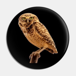 owl Pin