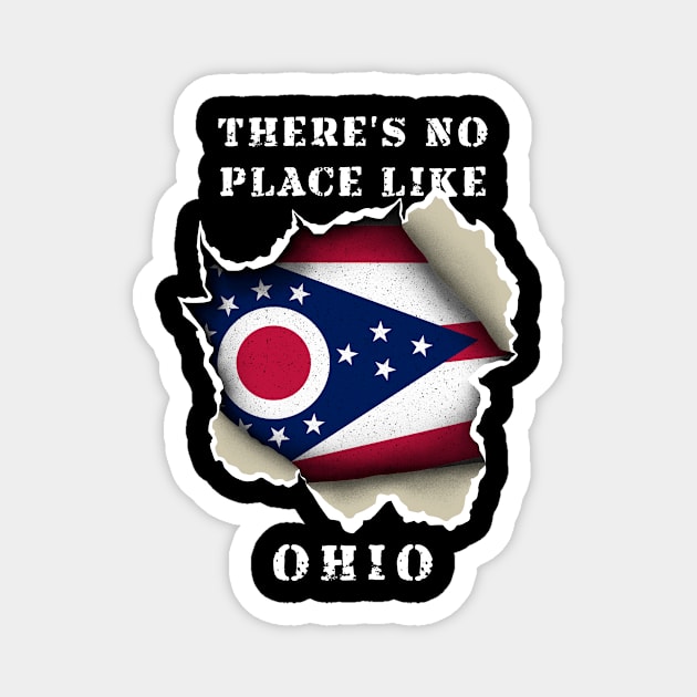 There's No Place Like Ohio Magnet by Lump Thumb