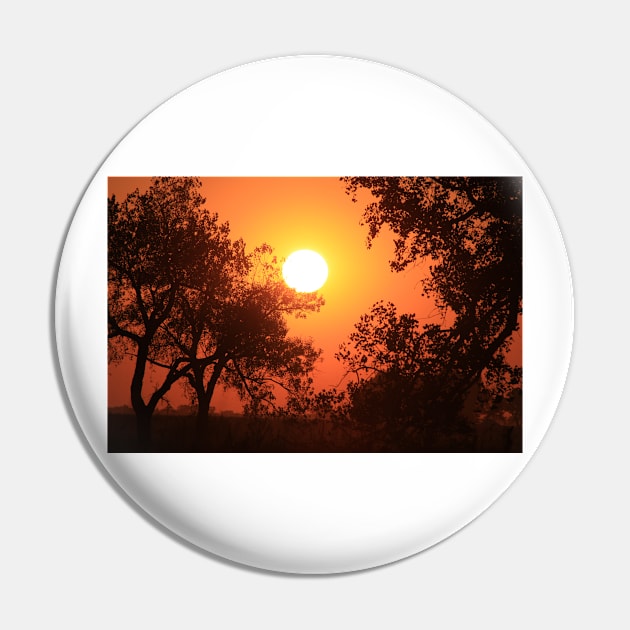 Blaze Orange Kansas Sunset with Tree silhouette's Pin by ROBERTDBROZEK