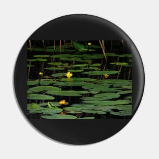 Night Descends On The Lily Pond Pin