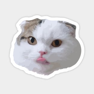 funny face cat Magnet