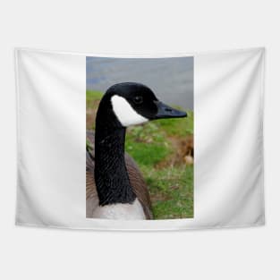 Canada Goose Canadian Geese Wild Bird Tapestry