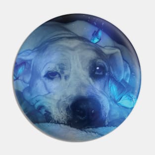 Dog and Blue Glowing Butterflies Pin