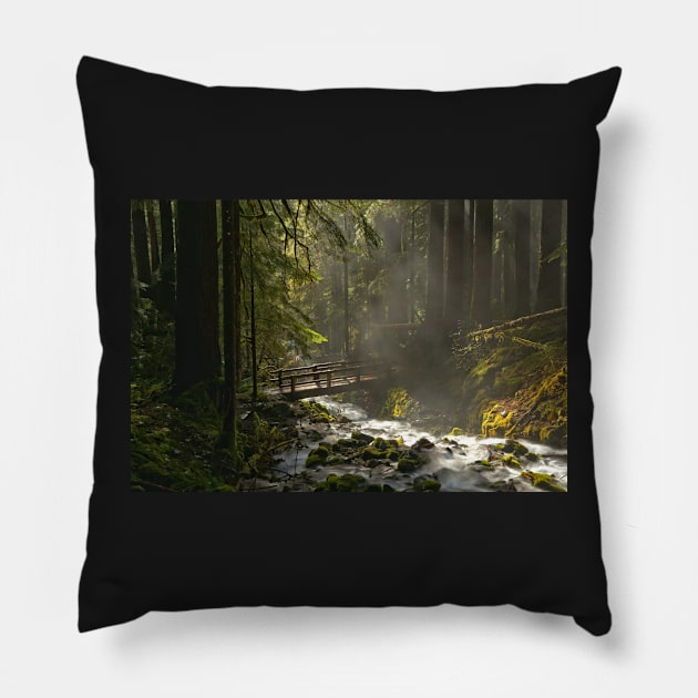 Bridge Through The Forest Pillow by AdamJewell