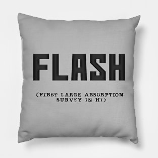 FLASH Pillow