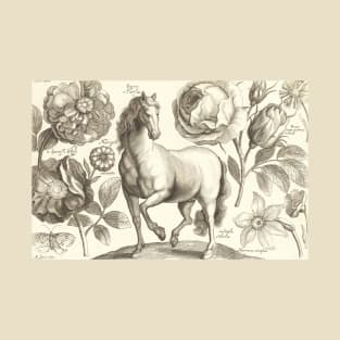 Horse Flower Vintage Illustration T-Shirt